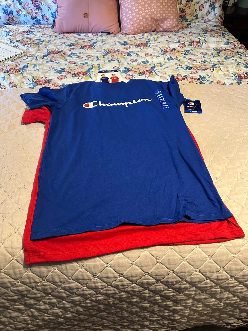 Champion Blue Short Sleeve Logo Tee . Champion Red short sleeve. L 14/16.